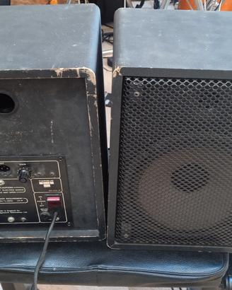 casse amplificate Torque made in England 