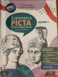 Grammatica picta lezioni 1