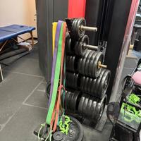 dischi per bilanciere