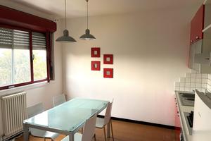 Trilocale a Rovigo