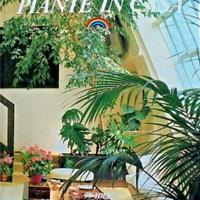 PIANTE IN CASA
