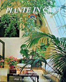 PIANTE IN CASA