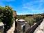 Immagine 26