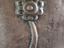 Immagine 5
