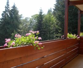 Settimana estiva di multiproprietà in val di sole
