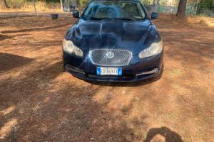 Jaguar da provare