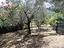 Immagine 26