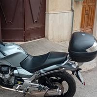 motoguzzi
