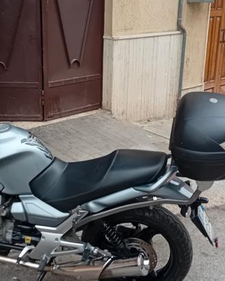 motoguzzi