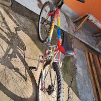  bicicletta Mountain bike 
