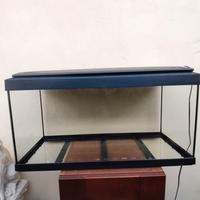 Acquario 80cm 90l 