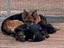 Immagine 1