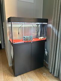 Acquario Niveo Rio 125