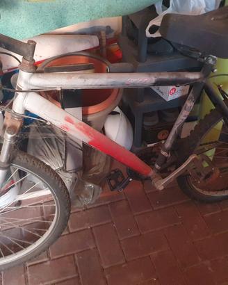 bicicletta da ragazzo da uomo 
