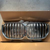 Mascherina BMW X5 Satinata
