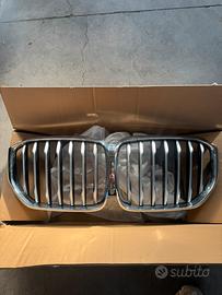 Mascherina BMW X5 Satinata