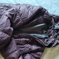 bomber bordeaux 