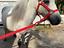 Immagine 5