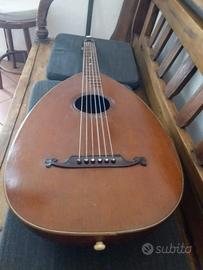 Liuto  chitarra 
