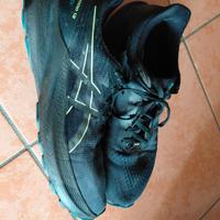 asics gt2000gtx 12 44