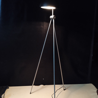 Lampada da terra RADON BLACK