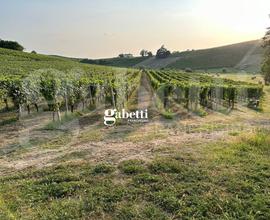 Terreno Agricolo Nizza Monferrato [V036-24VCG]