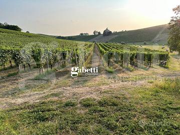 Terreno Agricolo Nizza Monferrato [V036-24VCG]