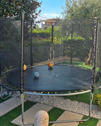 Trampolino, saltarello, SVENDITA
