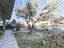 Immagine 25