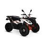quad-kayo-au300-omologato-t3-g-targa-gialla-2-post