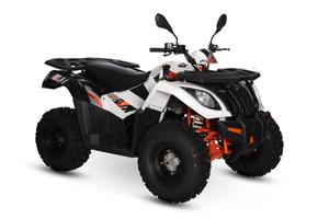QUAD KAYO AU300 OMOLOGATO T3 G targa gialla 2 post