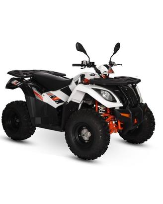 QUAD KAYO AU300 OMOLOGATO T3 G targa gialla 2 post