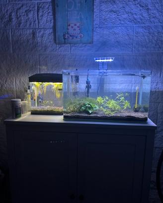 Acquario da 60L + bettiera