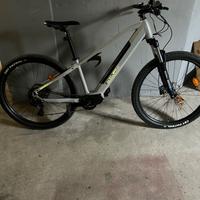 Ebike