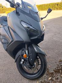 scoter