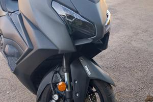 scoter