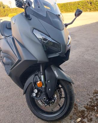 scoter