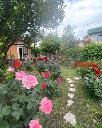 Casa Indipendente Trecastagni [Cod. rif 189VRG]