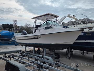 sea ox 230c permuto con open 