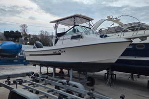 sea ox 230c permuto con open 