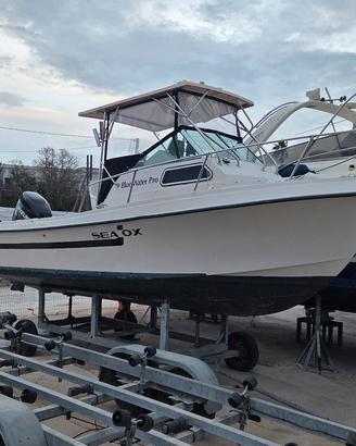 sea ox 230c permuto con open 