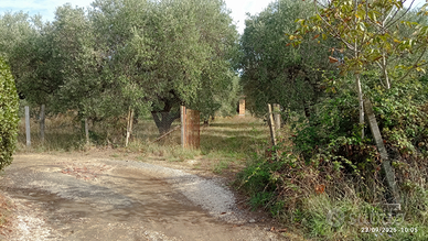 Terreno con casaletto