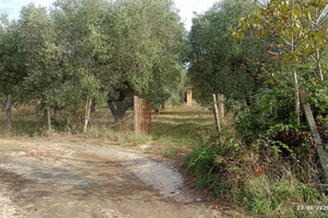 Terreno con casaletto