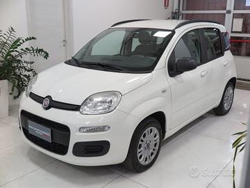 FIAT Panda 1.2 Easy "Solo 49.000 km!!!" Unico Pr