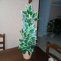 piantina artificiale 