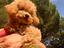 Immagine 1