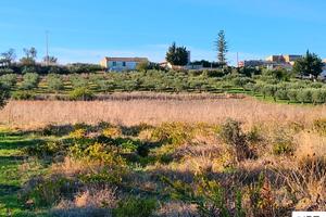 Terreno Agricolo _Crocci - Valderice