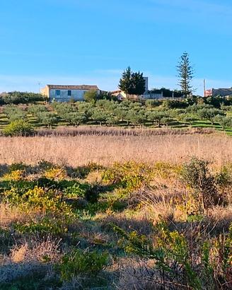 Terreno Agricolo _Crocci - Valderice