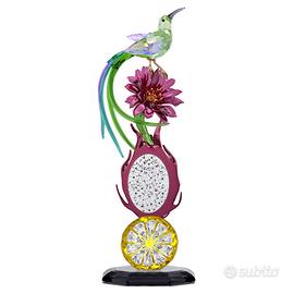 Swarovski 5677289 Mangianettare - Frutto del Drago