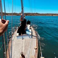 Barca in Legno Cutter